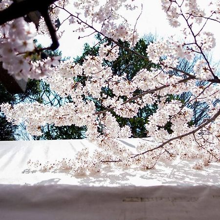 Tora Hotel Tokyo-Kitaueno 寅ホテル北上野 Exteriör bild