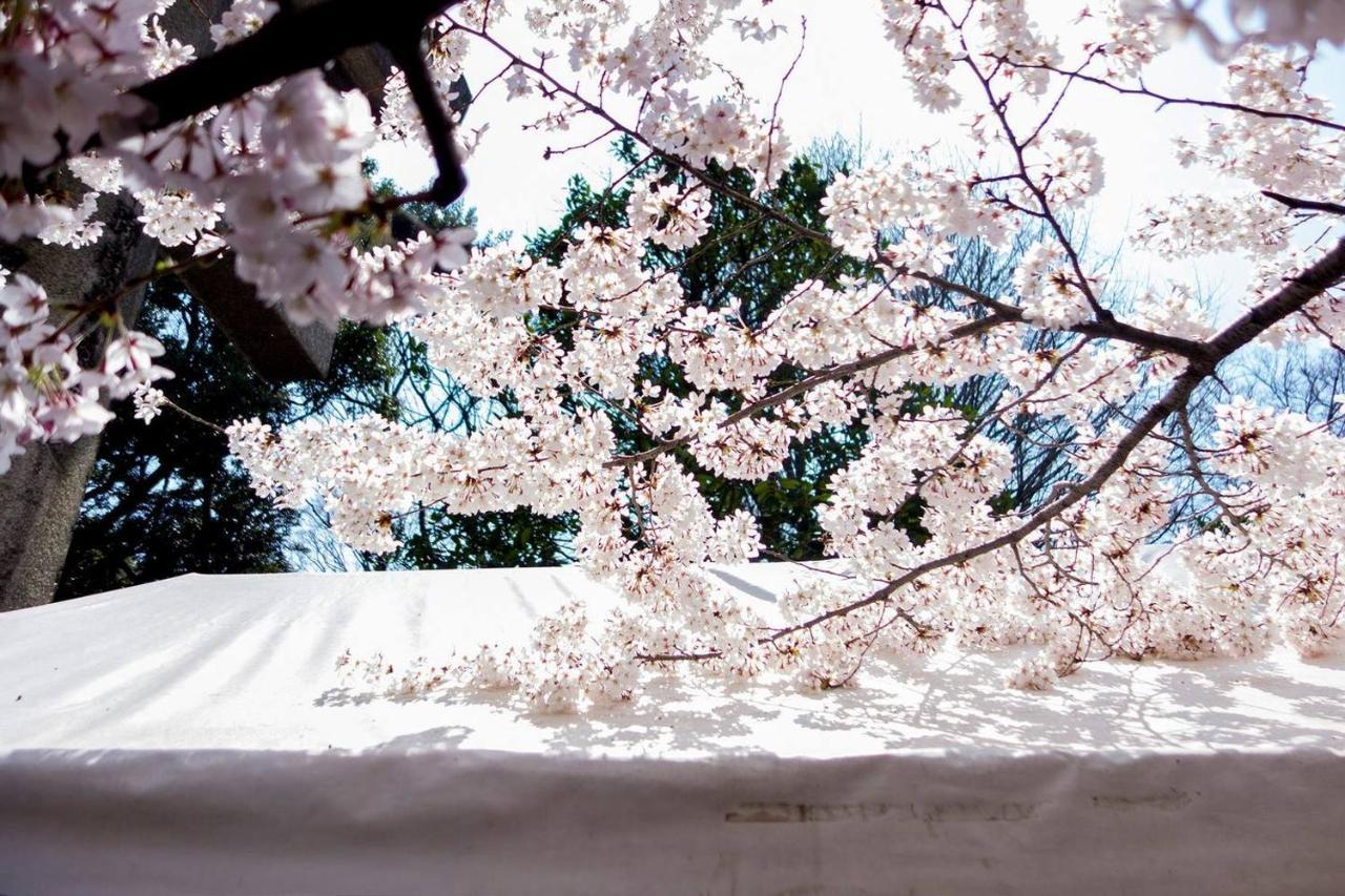 Tora Hotel Tokyo-Kitaueno 寅ホテル北上野 Exteriör bild