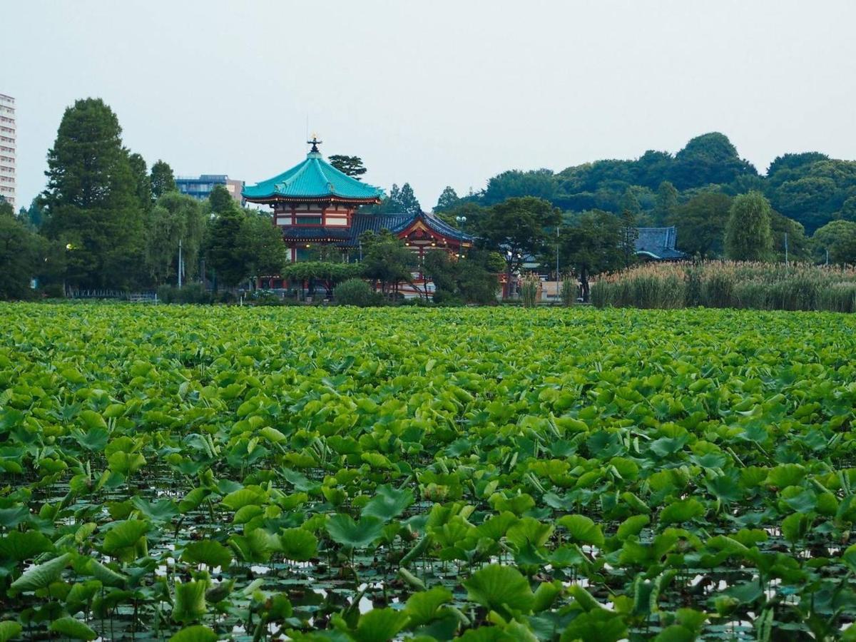 Tora Hotel Tokyo-Kitaueno 寅ホテル北上野 Exteriör bild